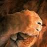leo the lioness