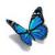 BlueButterfly