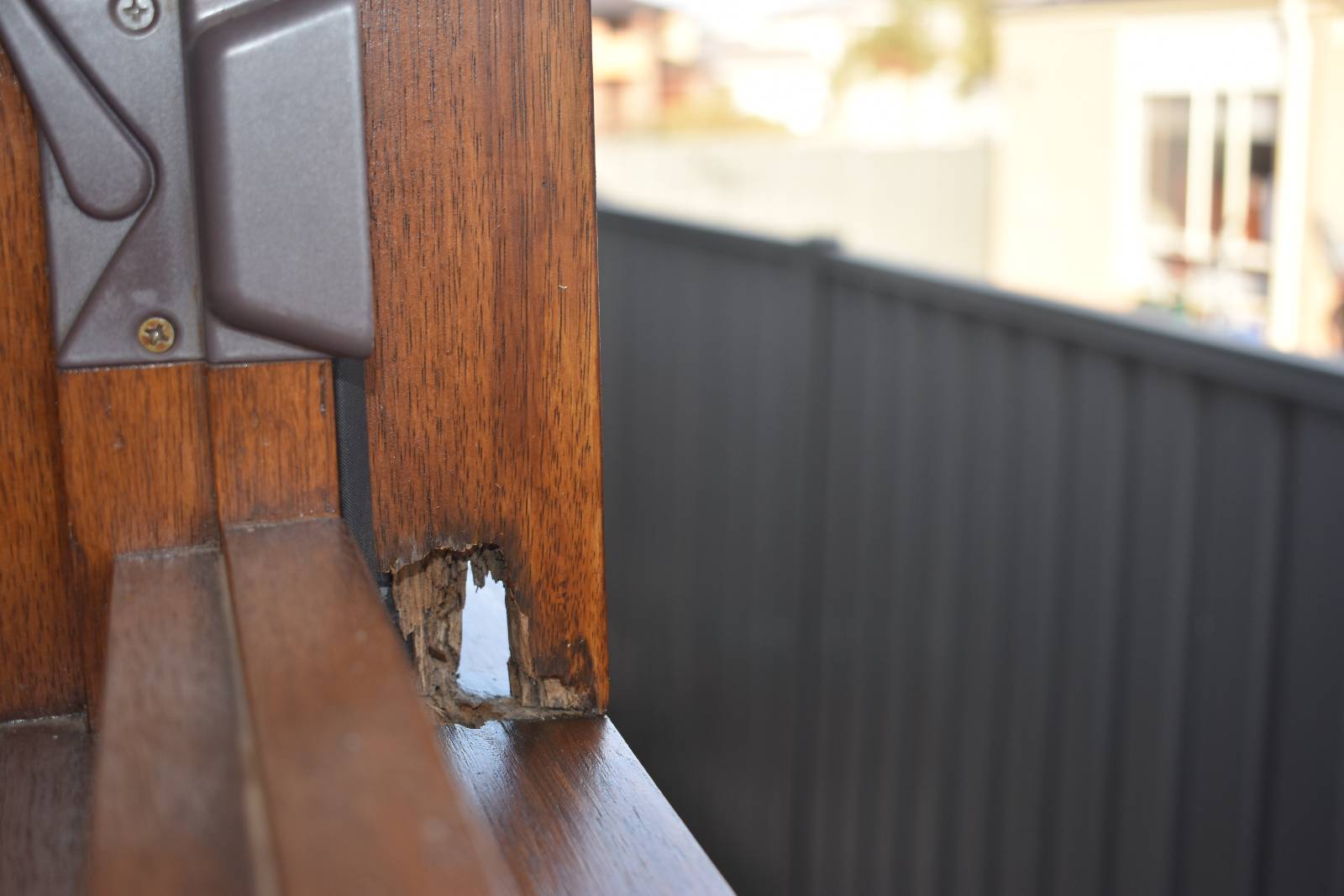 View: Wood rot on window frame