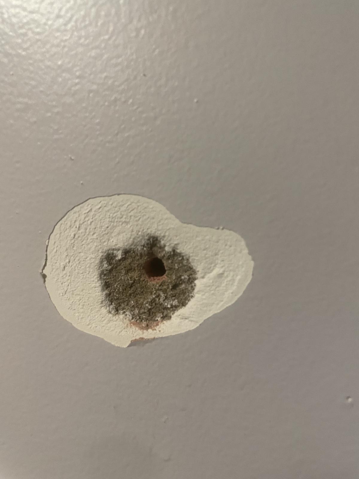Wall plaster/rendering question