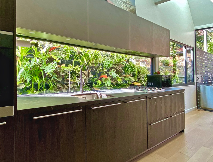 Vertical Garden Kitchen splash back design