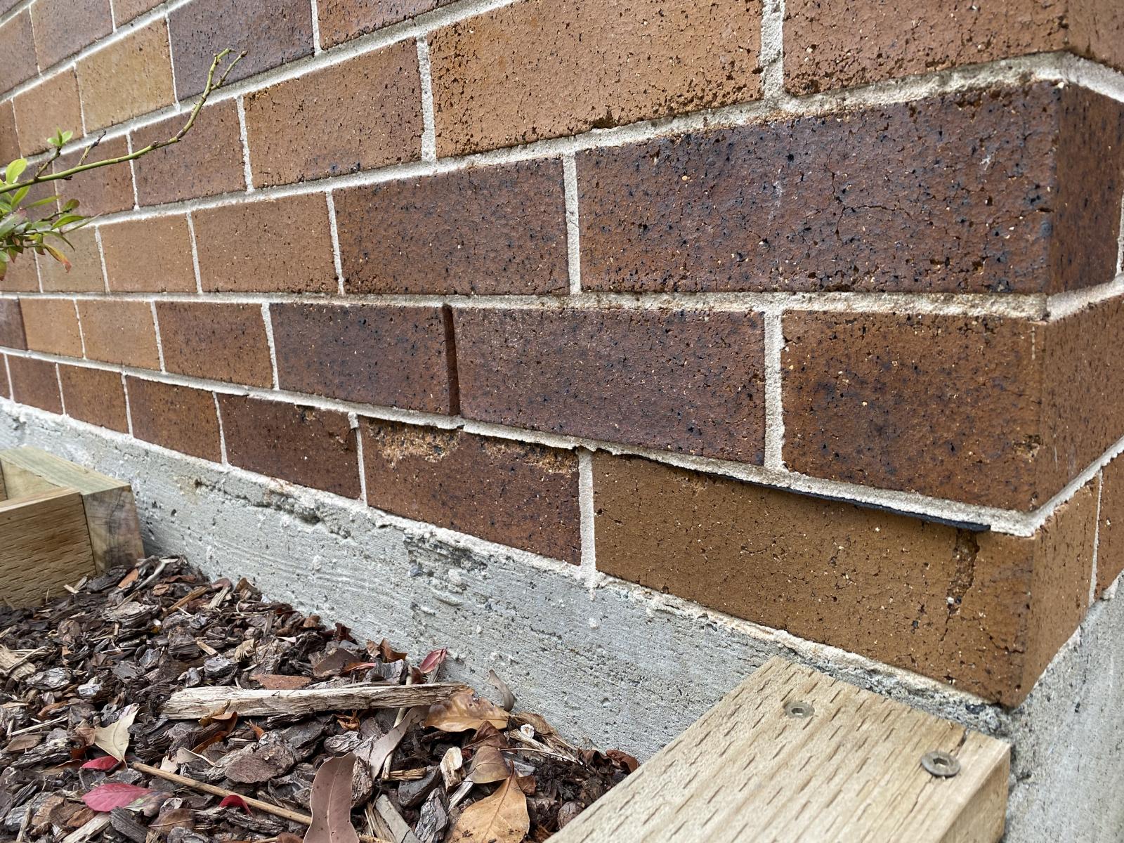 Brick movement above damp proof course