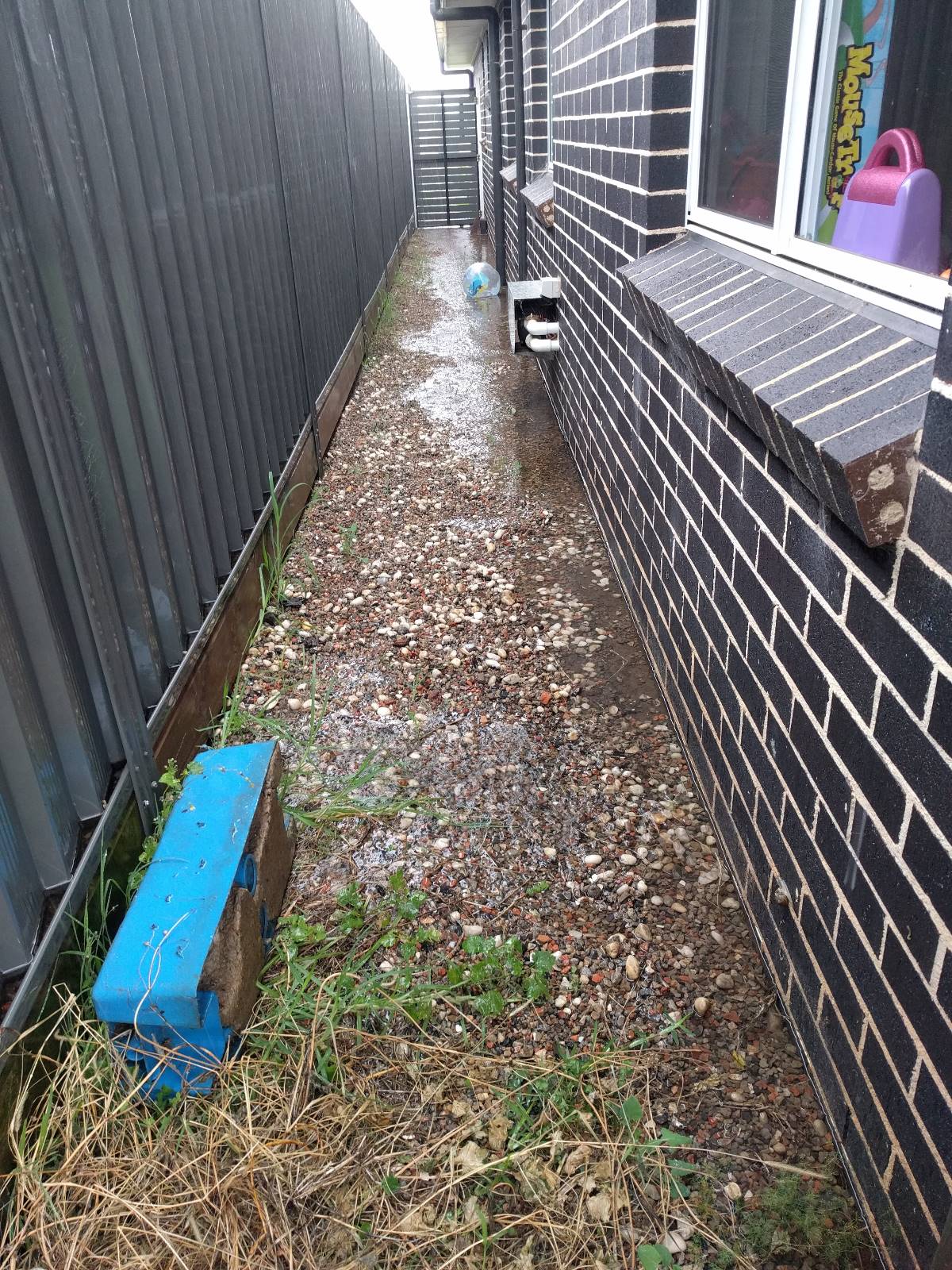 Drainage issue side of house