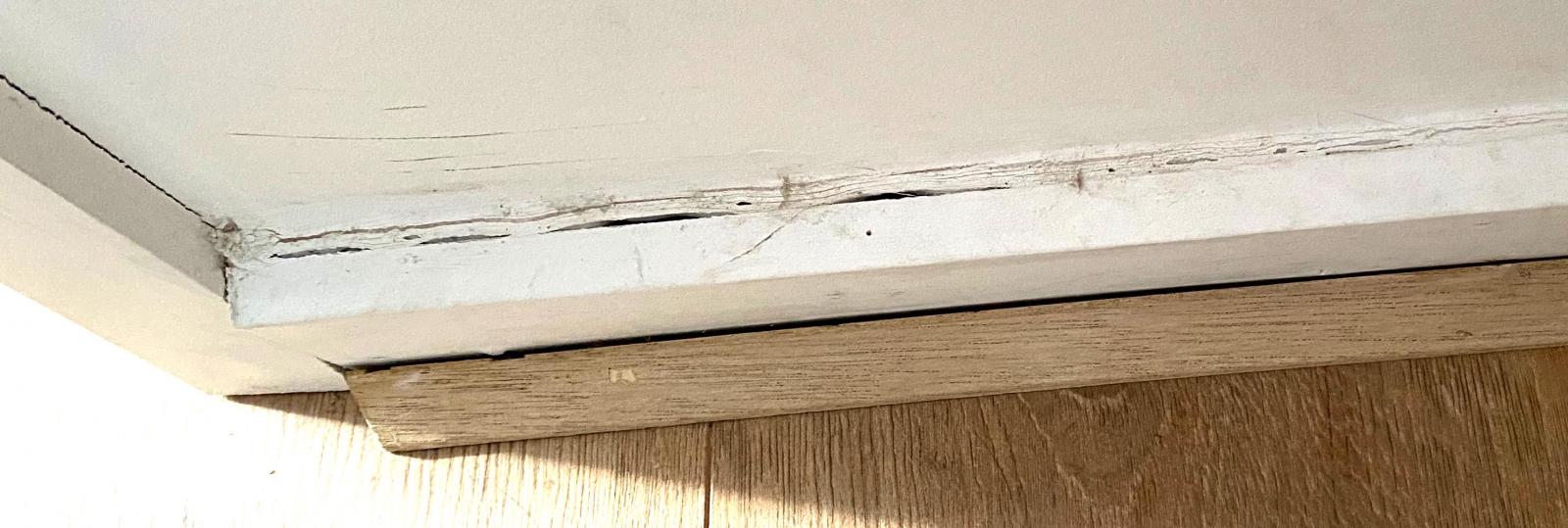 Termite damage to skirting board - YouTube
