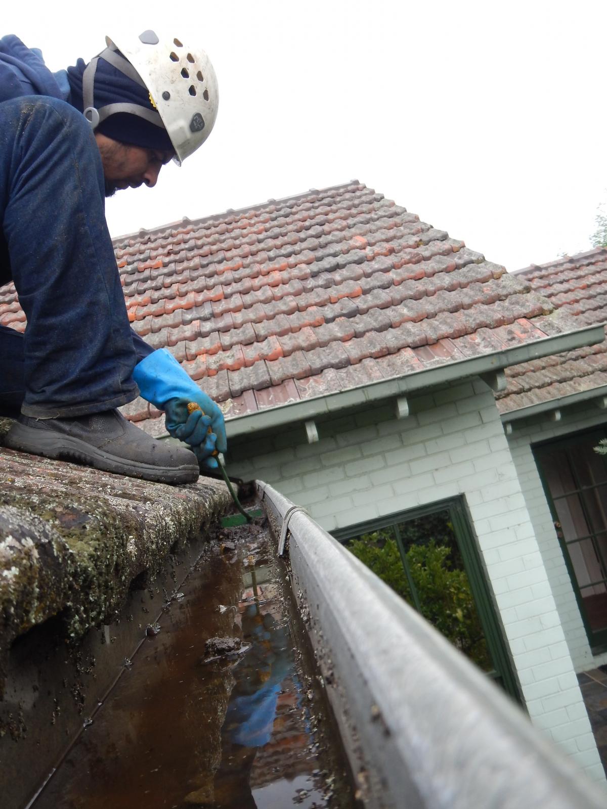 How gutters can silt up even with no trees around