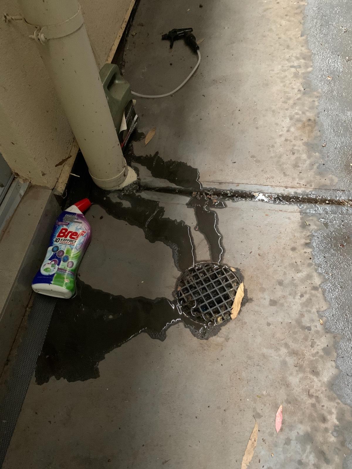 Water coming up near down pipe